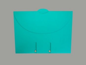 CSV100 - 100 Chemises SmartFolder vertes multi-usages -